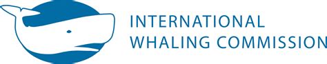 iwc wale|news from wales today.